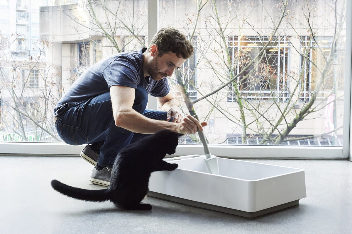 tuft + paw Cove Litter Box
