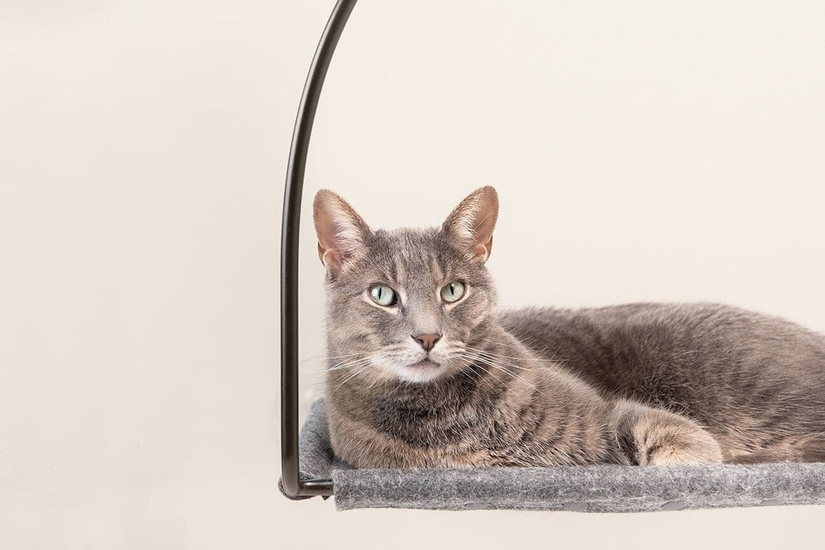tuft + paw Cloud Nine Window Hammock
