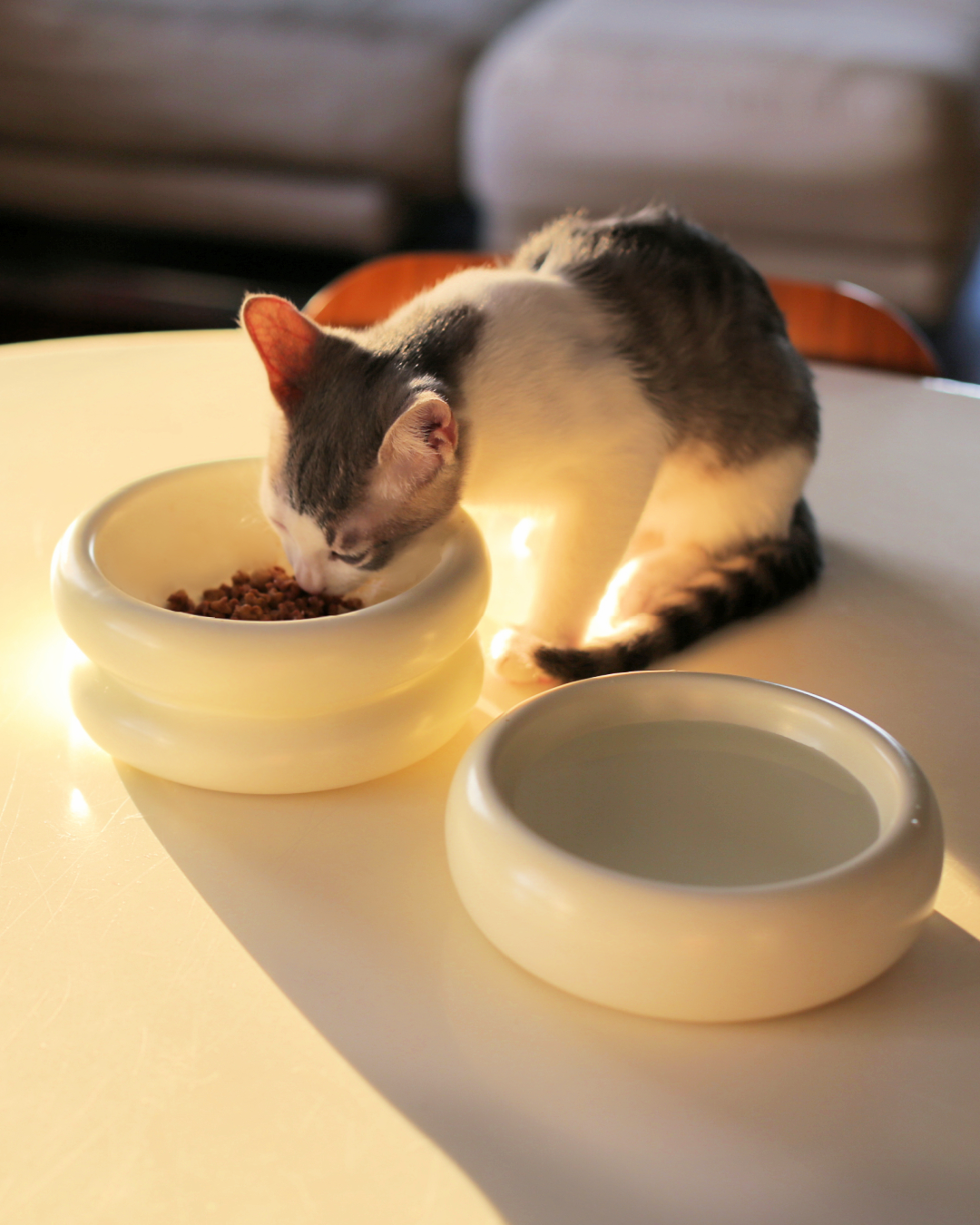 Catenary Elevated Halo Bowl