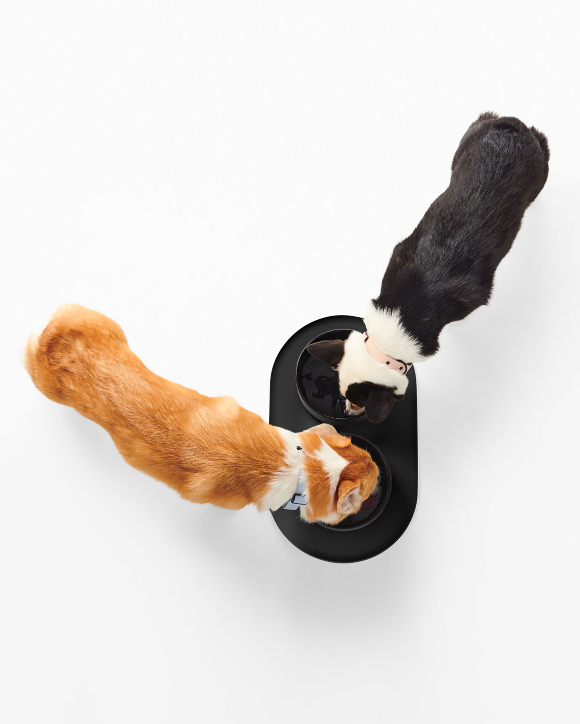 Signature Bowl Mat