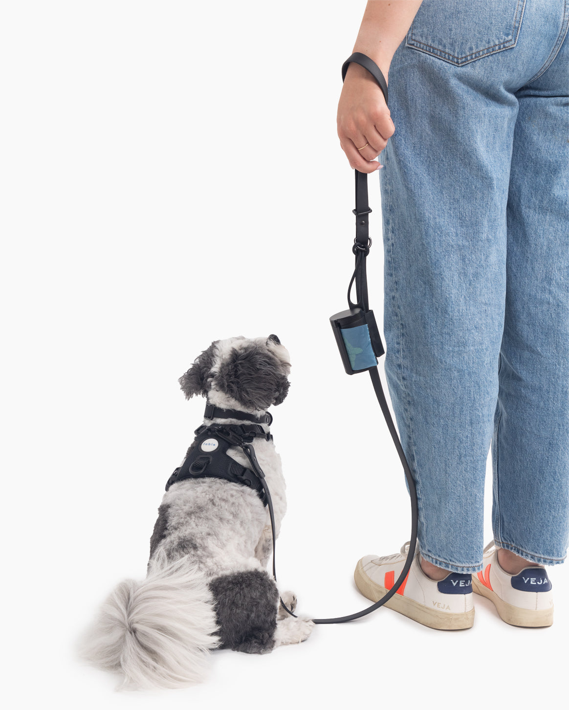 Ultimate Walk Set