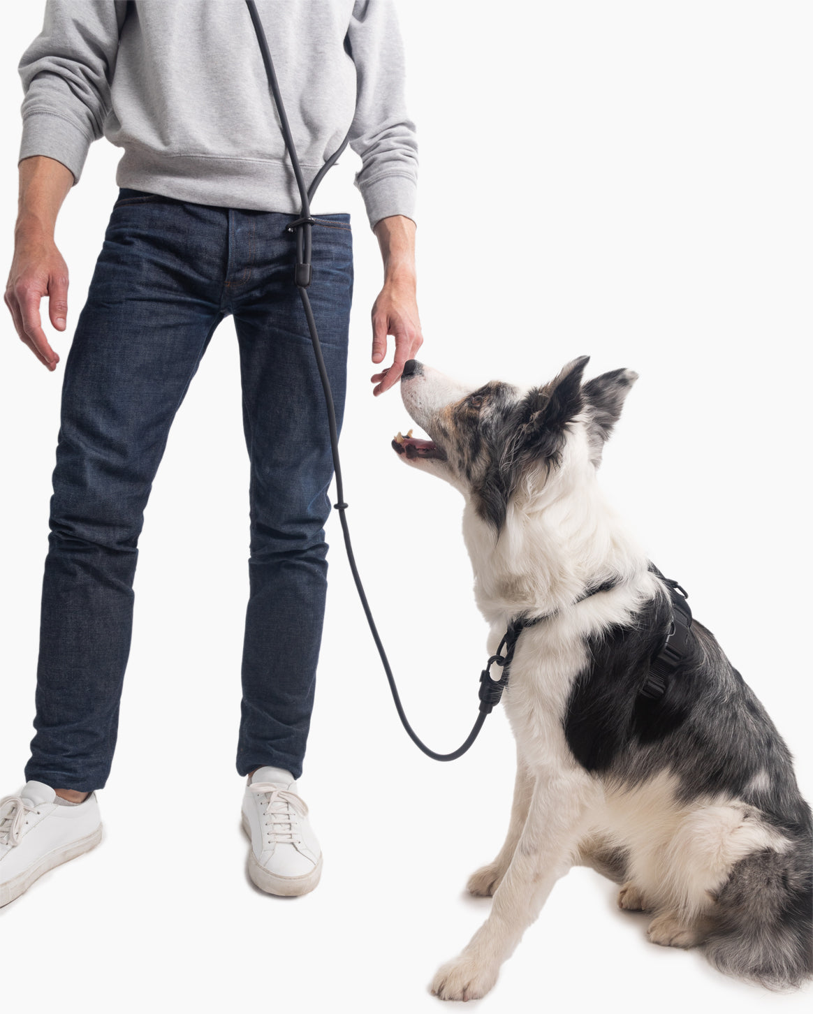 Ultimate Walk Set