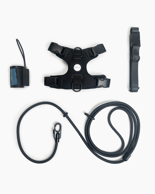 Ultimate Walk Set