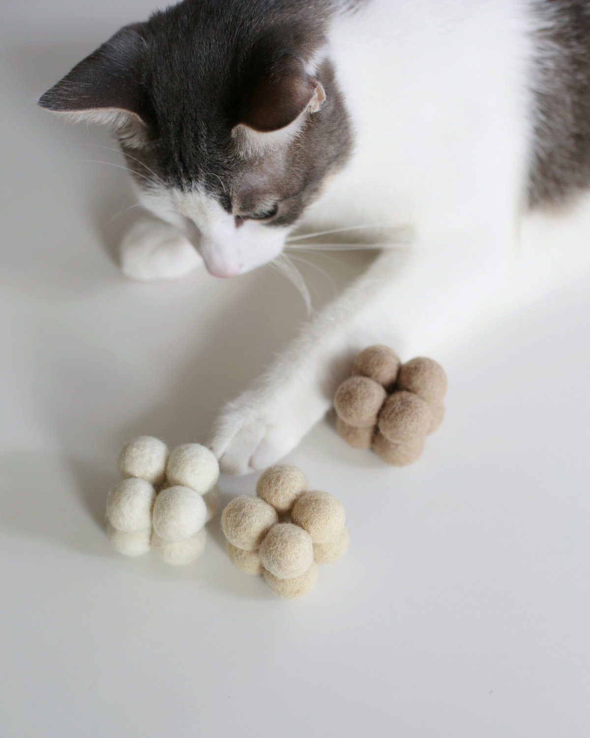 Catenary Pearl Toys