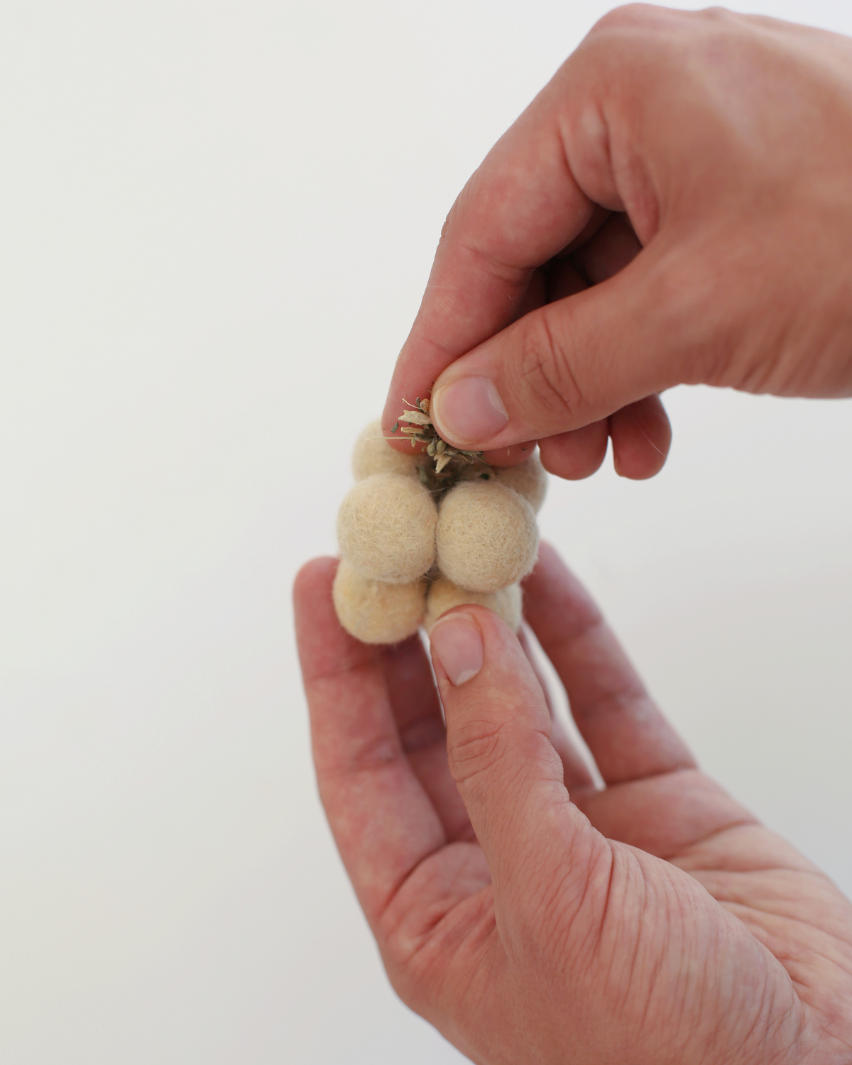 Catenary Pearl Toys