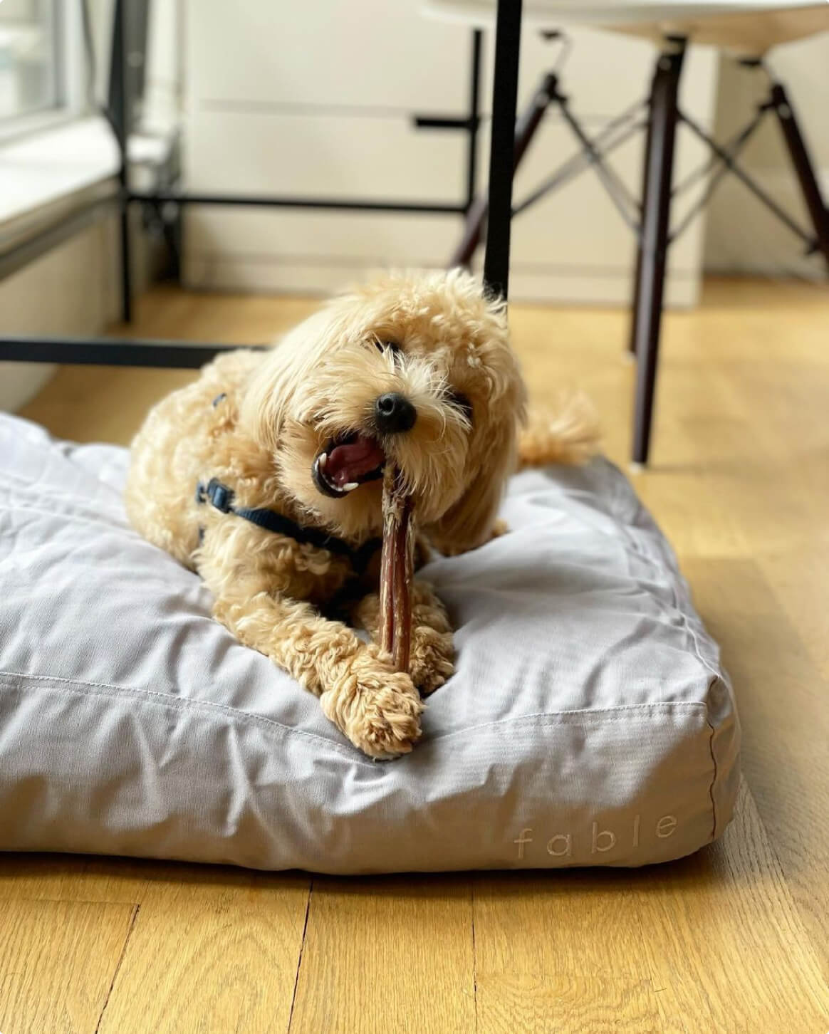 Bed Cover