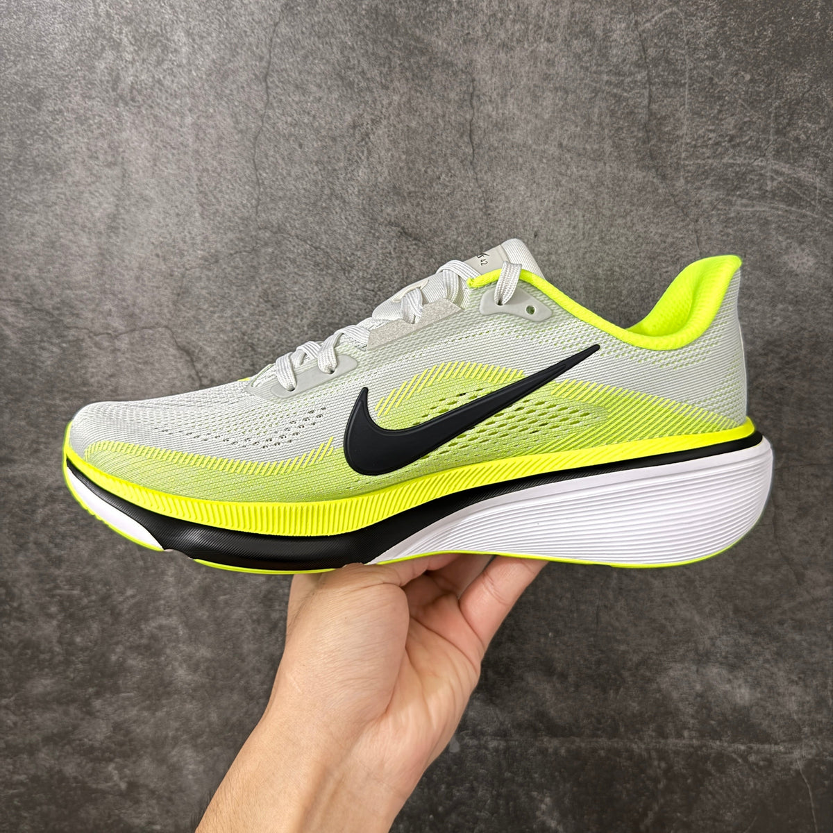 Air Zoom Pegasus  42-IB1873-008
