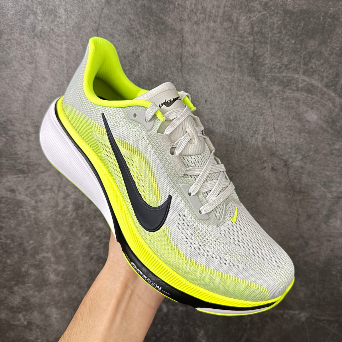 Air Zoom Pegasus  42-IB1873-008