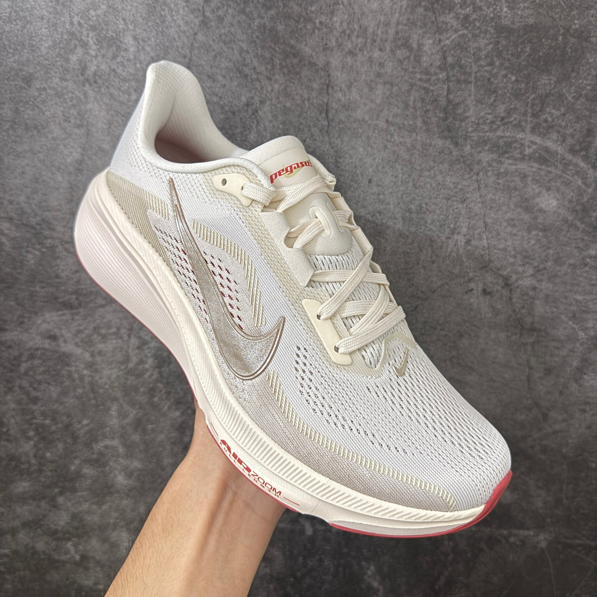 Air Zoom Pegasus  42-IB1881-004