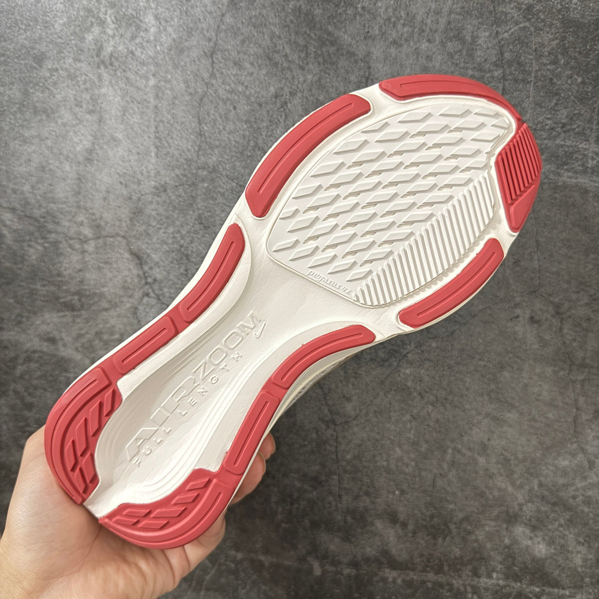 Air Zoom Pegasus  42-IB1881-004