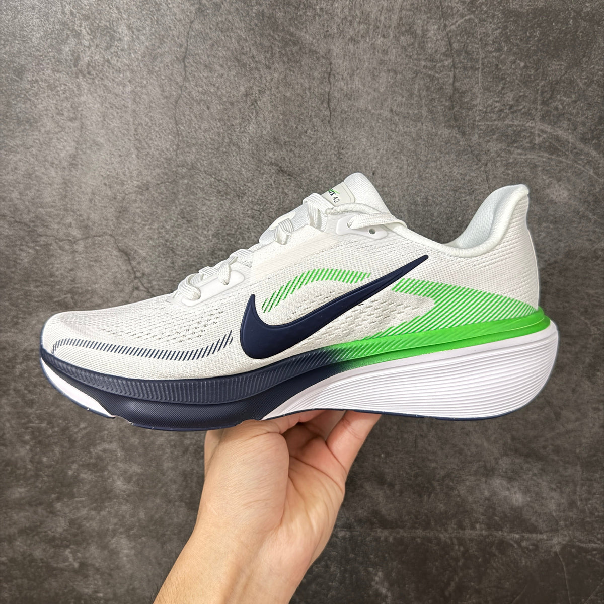 Air Zoom Pegasus  42-IB1873-107