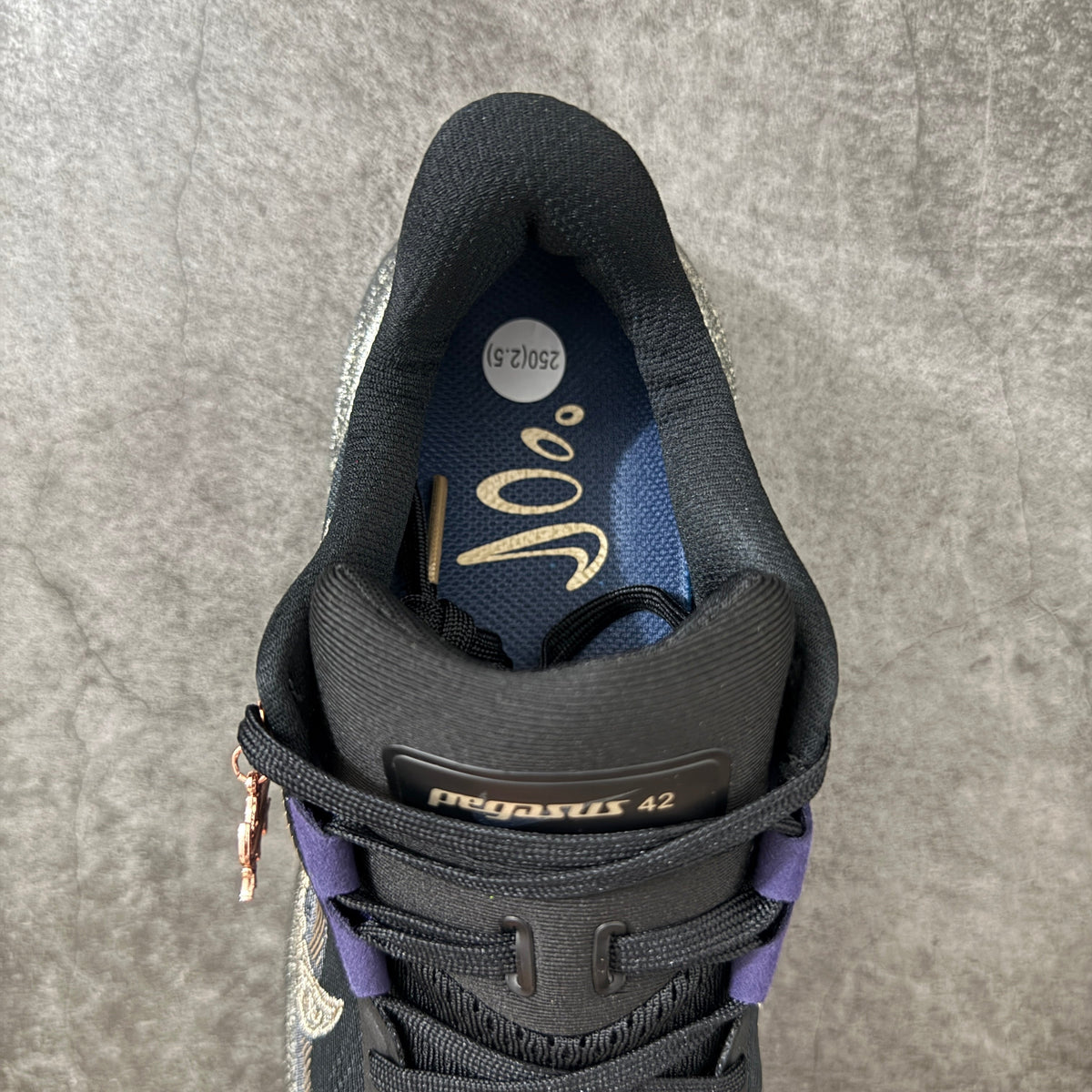 Air Zoom Pegasus  42-IR7192-001