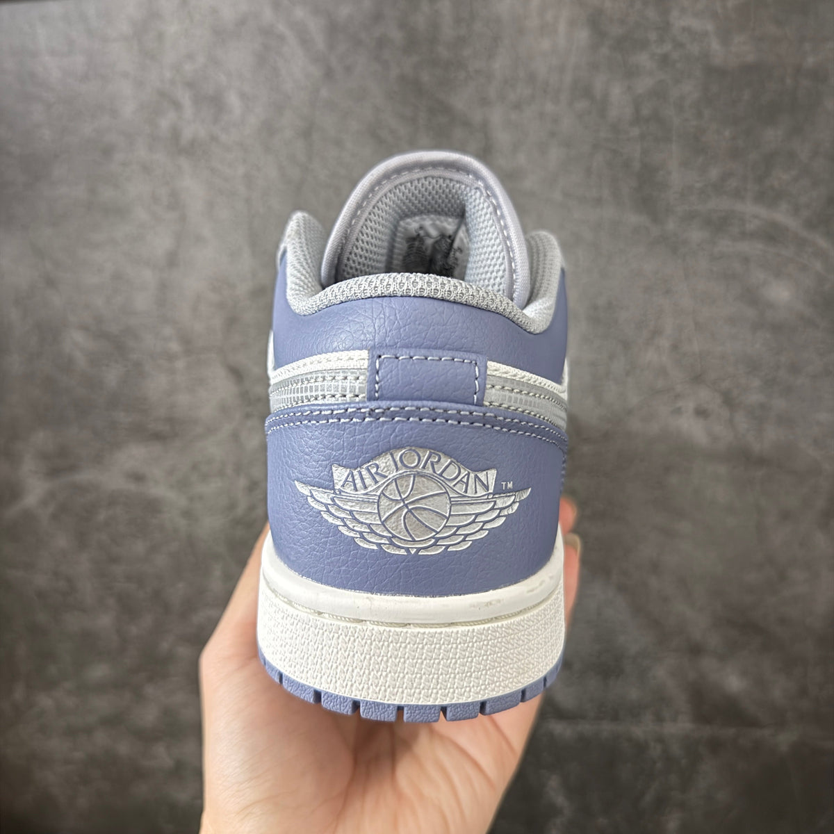Air Jordan Low AJ1-IX5003-101