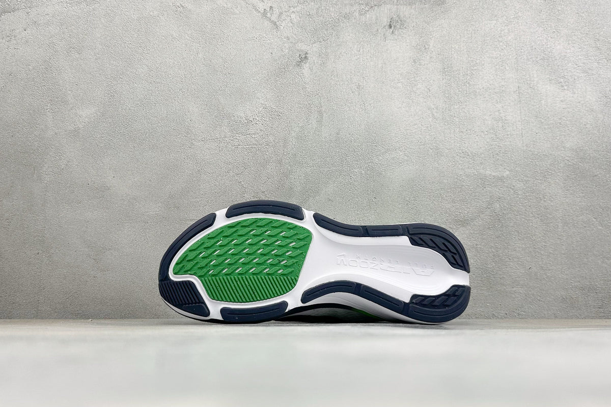 Air Zoom Pegasus 42-IB1873-107