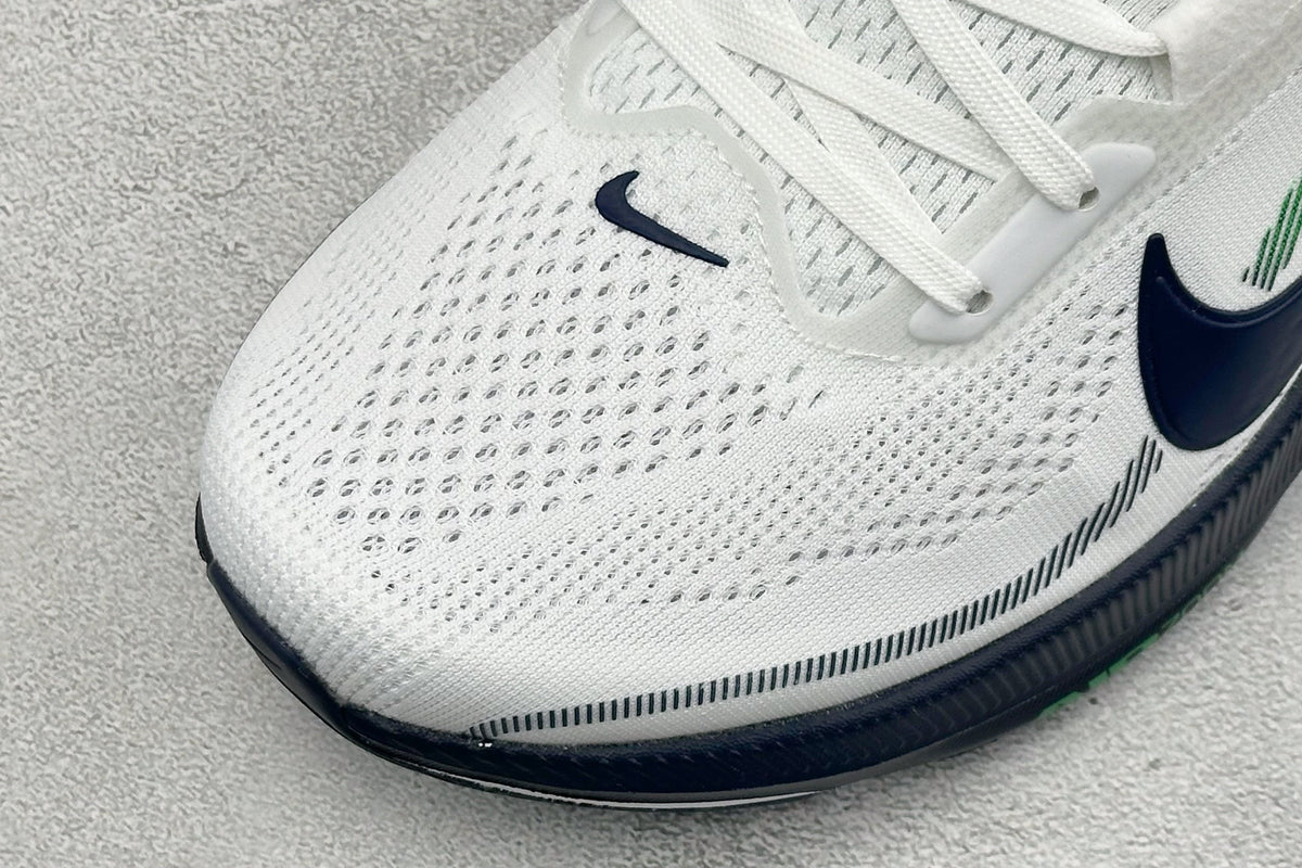 Air Zoom Pegasus 42-IB1873-107